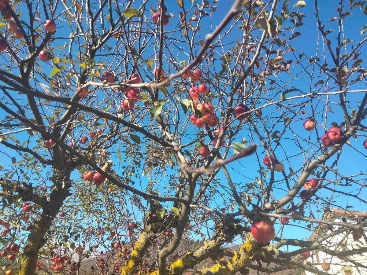 LarraonaMaitia别墅 外观 照片